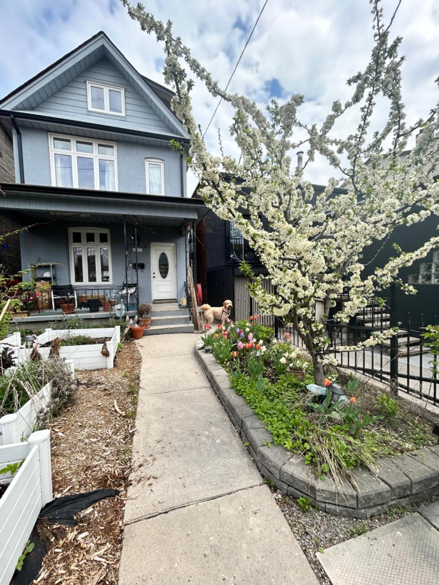 Villa Garden Oasis à Toronto Extérieur photo
